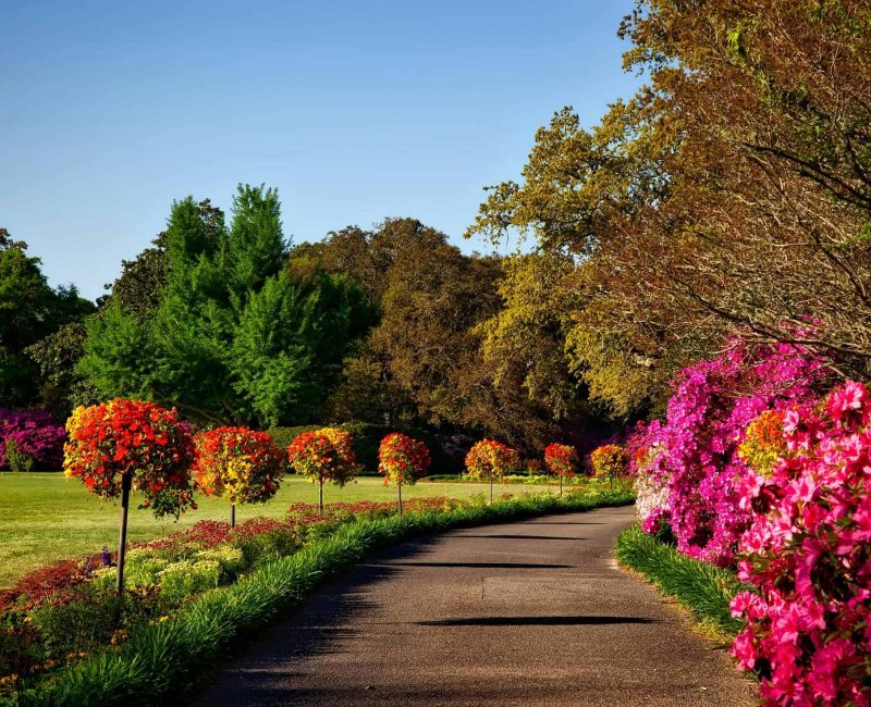 Scenic garden path with colorful flowers and trees in South Africa.