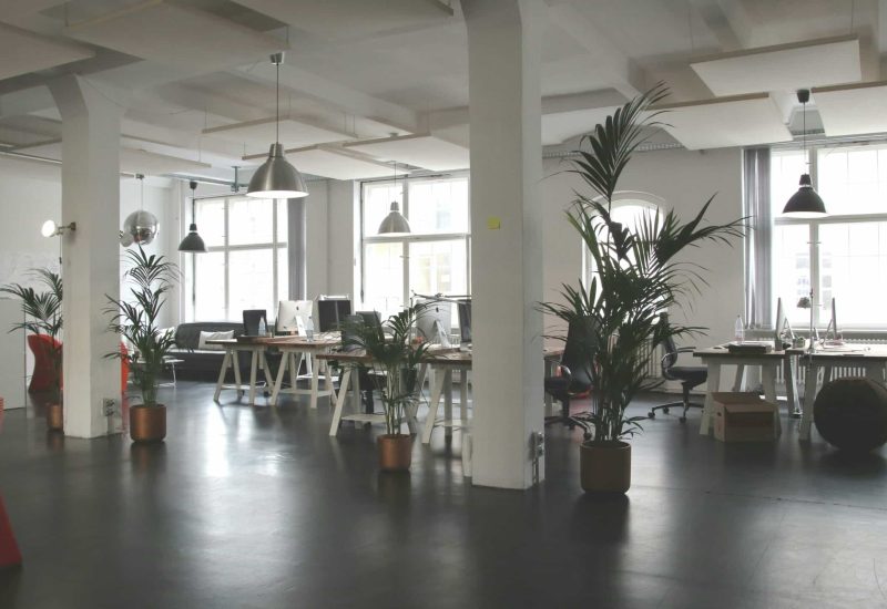 Bright modern office with plants, desks, and large windows in South Africa.