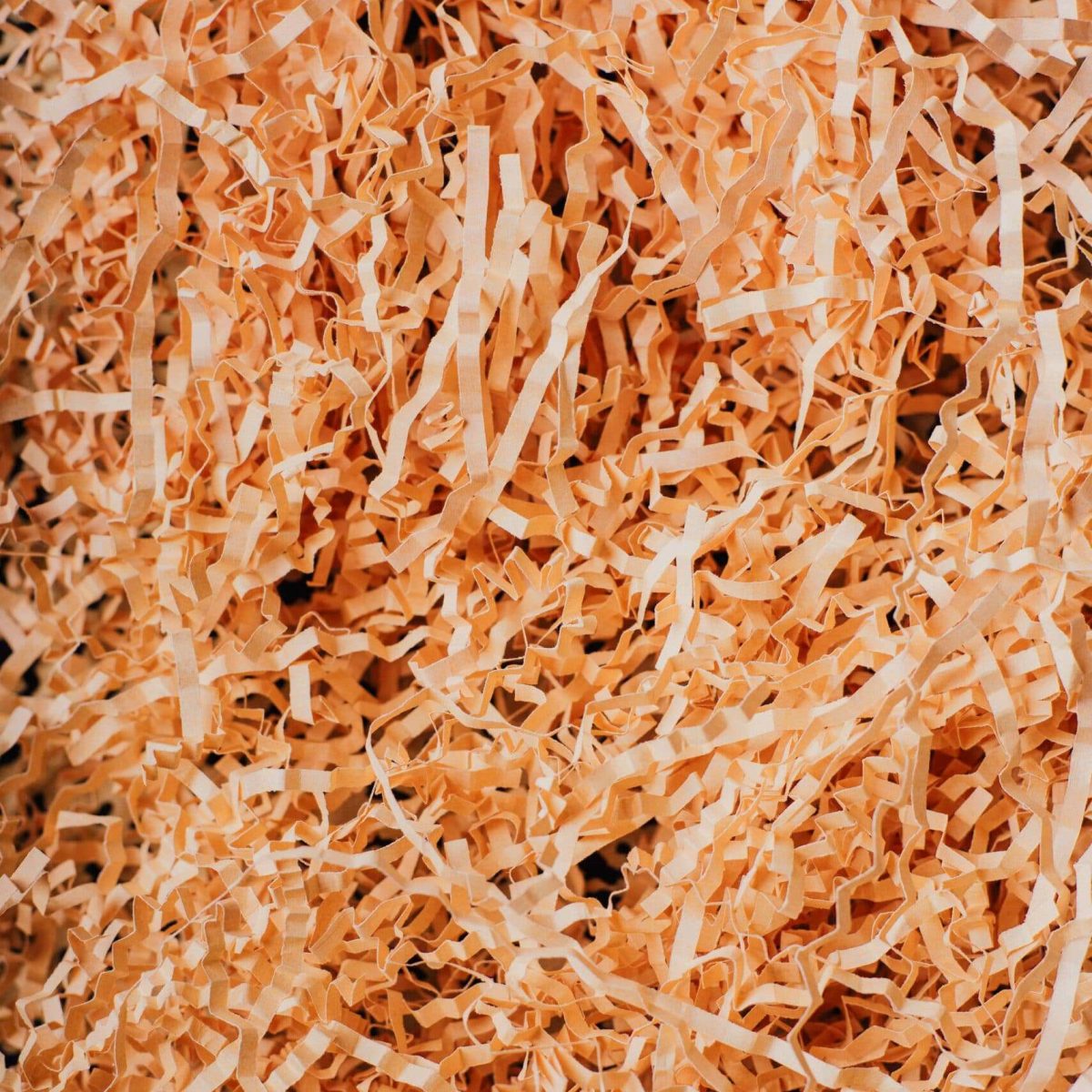 Close-up of shredded paper for document destruction in South Africa.