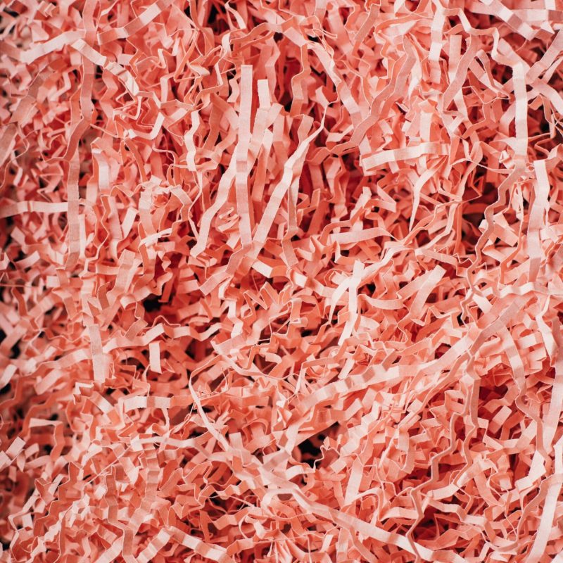 why you need to replace your paper shredder